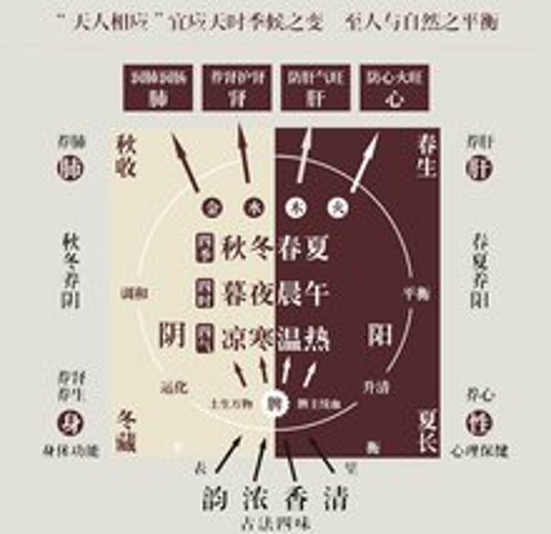 天津商贸行业动态——市场风云录